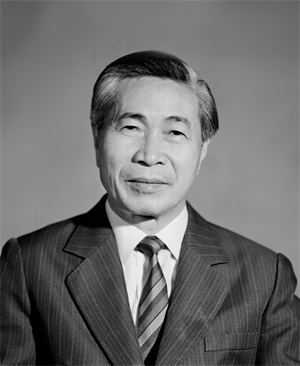 Phó Thủ tướng, Bộ trưởng Nguyễn Cơ Thạch